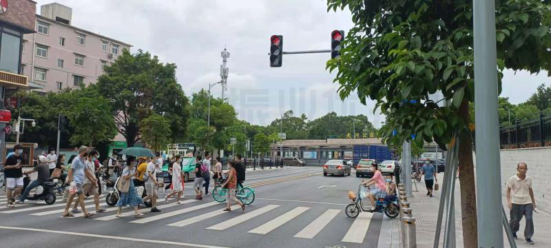 圖11 中山大道-楓葉路交叉口調(diào)整后行人過街情況圖